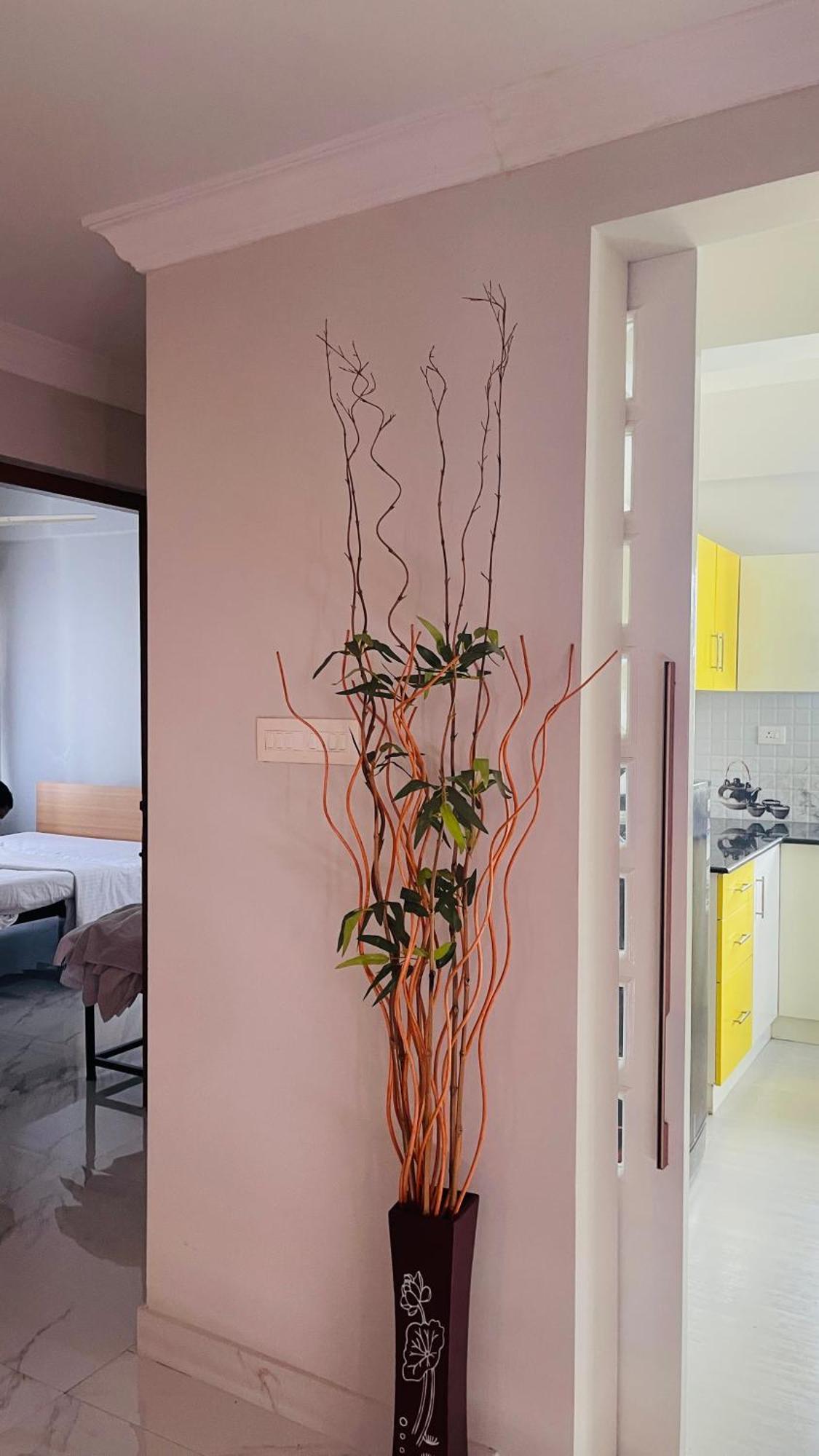 Rajamandiram 3Bhk Ac Apartment In Trivandrum Central 特里凡得琅 外观 照片